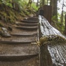 27 Fotozirkel Mannheim e.V. Barbara Giersch